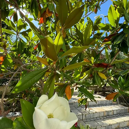 酒店 Cekodhima Radhimë